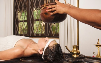 
                Massagem Bio Emocional de 50min por 22€ no Saldanha! 
            