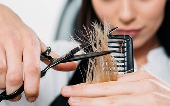 
                Corte + Hidratação + Brushing por 14€ na Ameixoeira! 
            