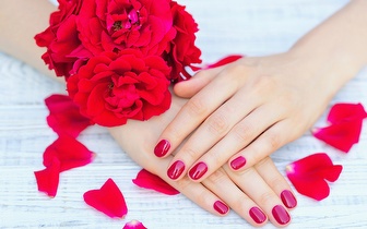 Aplicação de Verniz de Gel por 8€ junto aos Jardins do Palácio de Cristal!