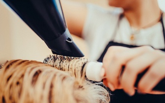 Coloração + Máscara Hidratante + Corte para Cabelos Curtos e Médios por 24,90€ na Ameixoeira!