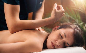 
                5 Massagens Terapêuticas ao Corpo Inteiro por 149€ em Sabugo!
            