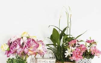 10% de Desconto em Compras Superiores a 100€ em Artigos Florais e de Decoração em Paredes de Coura!